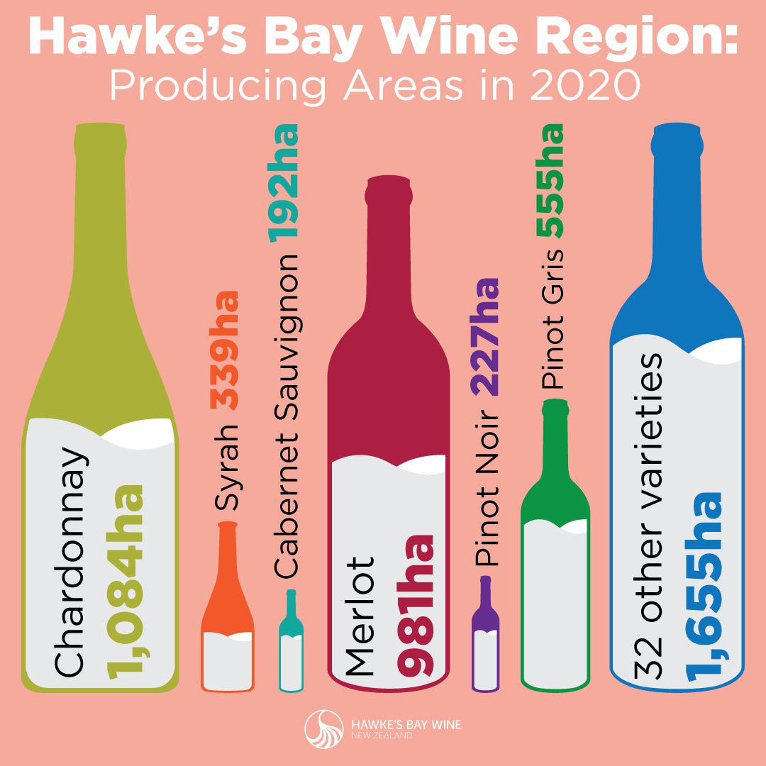 Wine Infographics