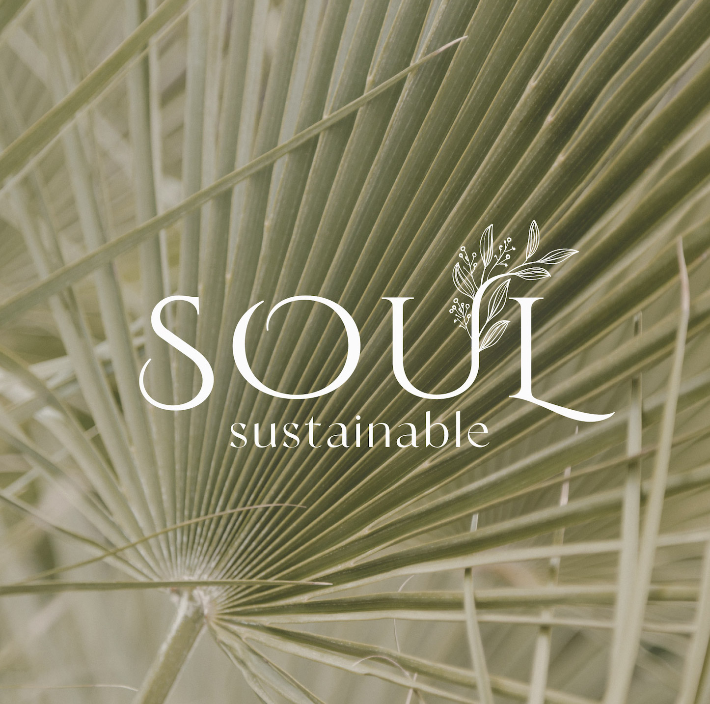 Soul Sustainable - Brand design