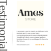 Social Media Audit – Ames Store